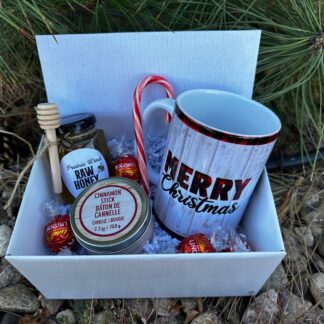 Christmas box, Christmas Present, Local Honey, Candle, Parent, Friend, Co-worker, Grandparent, Neighbor gift, Holiday Gift